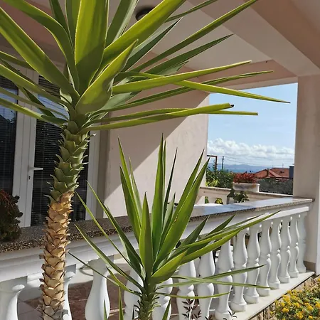 Borka Apartman Kali