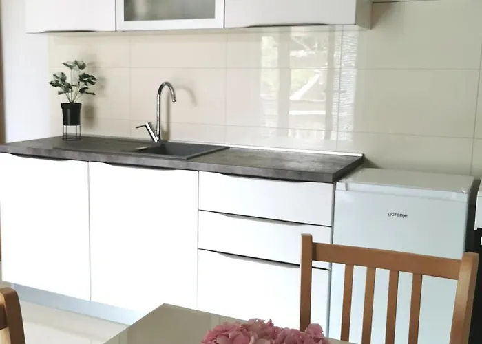 Apartman Borka Kali